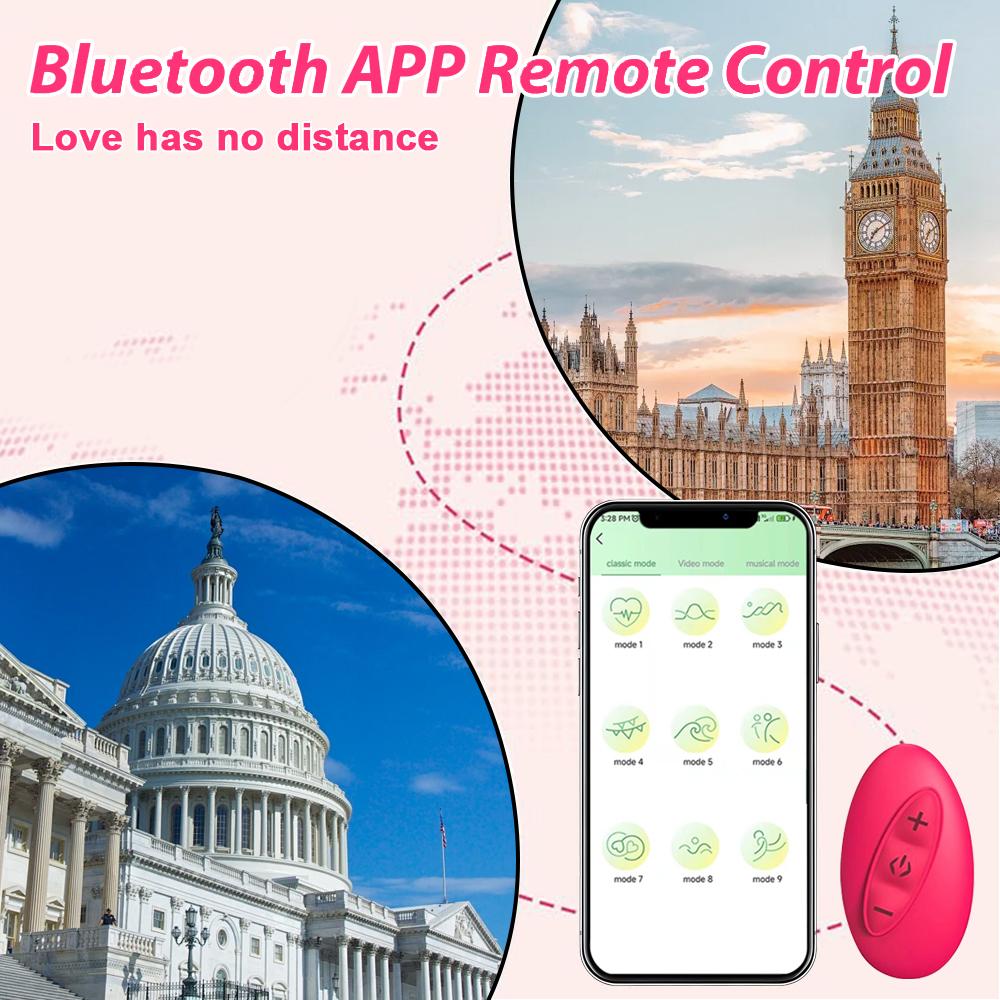 Mini Bullet Remote Control Wearable Panty Vibrator Dual Stimulation Clitoral G-spot Stimulation Massager Female Adult Sex Toy Portable Masturbator New