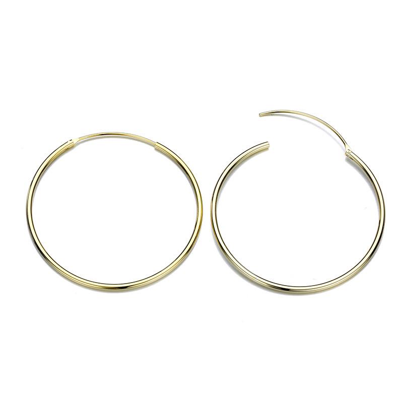 European Style Polished Stainless Steel Hoop Earrings for Women, Thin Small & Large Niche High-End Design Accessories.