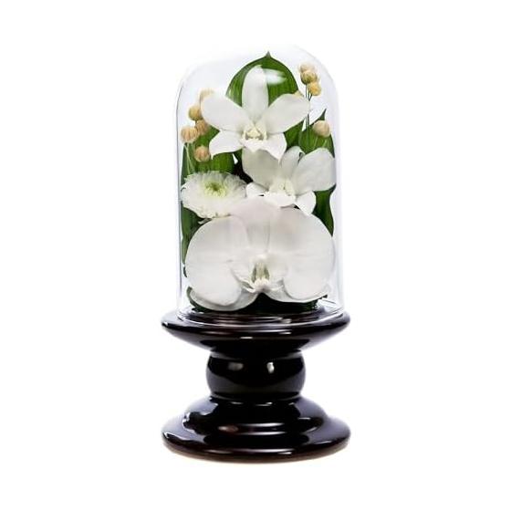 Art Four Seasons  Buddha Flower (Brown) Mini Phalaenopsis Mini Glass Preserved Flower