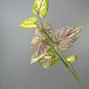 Tropical Plant Simulation Taro Leaf Plant Artificial Green Plant Leaves  Wedding Party Decor