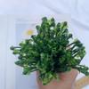24Pcs UV Resistant Fake Greenery Green Artificial Grass Bundles Artificial Spring Grass  Indoor Use