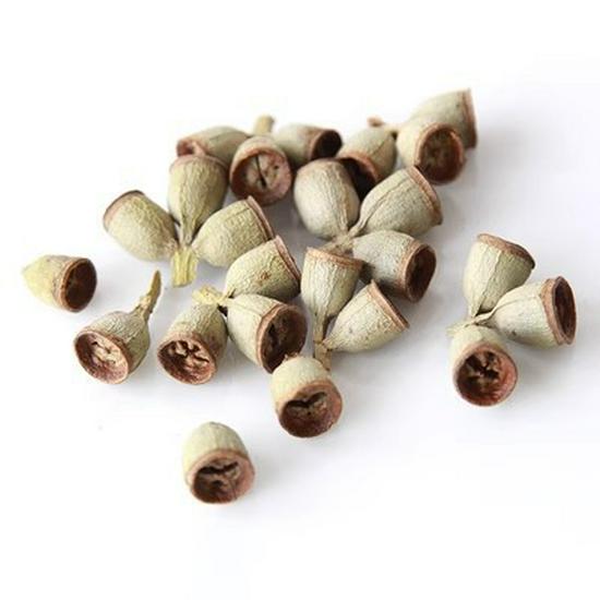 Handmade Wild Pine Cone Christmas Tree Decorative Branches with Dried Flowers