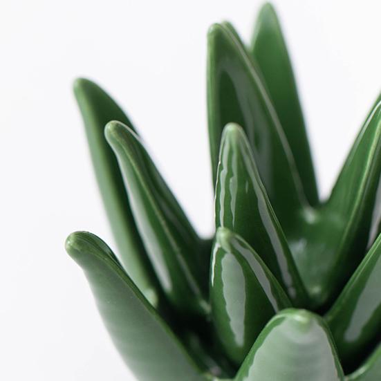 Stojan na prsteny Stojan na šperky Kompaktní design Kreativní stojan na prsteny ve tvaru aloe Stojan na uložení šperků Dekorace na stůl