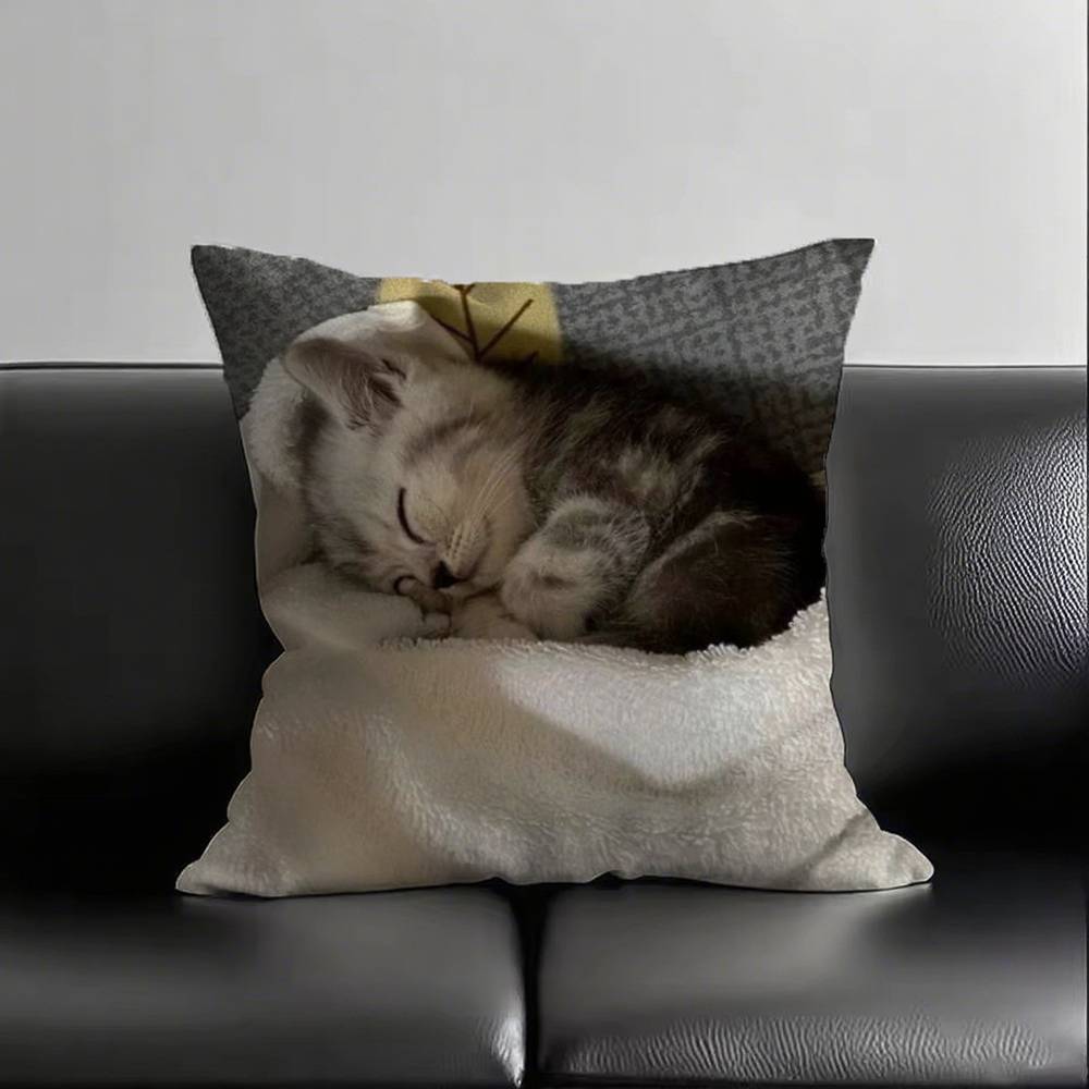 1pc Sleeping Kittens Pillow Case Square Bedroom Sofa Leisure Comfort Cushion Car Living Room Home Decoration