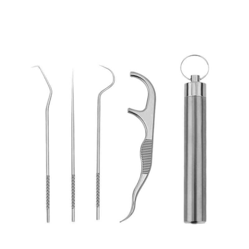 Stainless Steel Toothpick Set Portable Reusable Tooth Cleaner Kit with Travel Case for Everyday Oral Hygiene