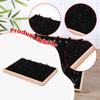 Jewelry Display Tray Holder Organizer Earrings 24 Individual Compartment Multipurpose Gifts Sturdy