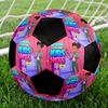 Gracie's Corner Theme Size 5 Soccer Ball, Suitable for Both Indoor and Outdoor Matches, a Gift Suitable for Everyone.