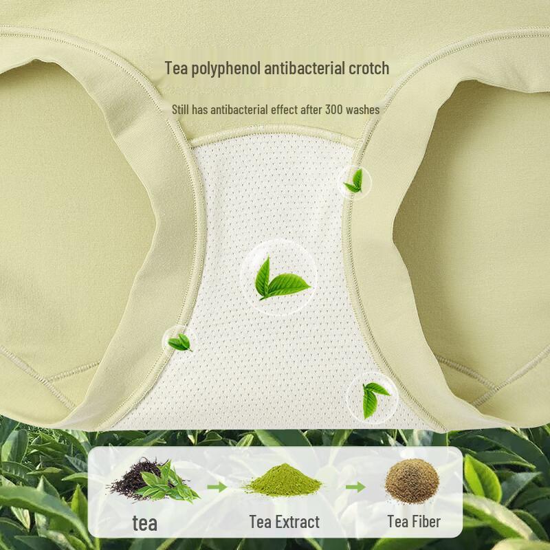 YOUNGYELL Women's Seamless Mid-Waist Antibacterial Cotton Underwear 3-Pack