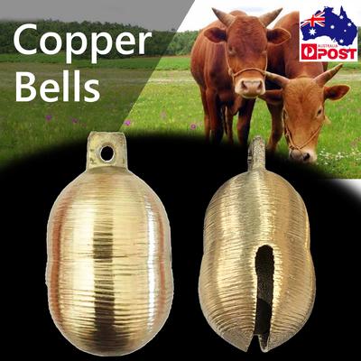 Cattle Head Dehorner Electric Iron Bloodless Fast Heating For Calf Lamb Chamfer