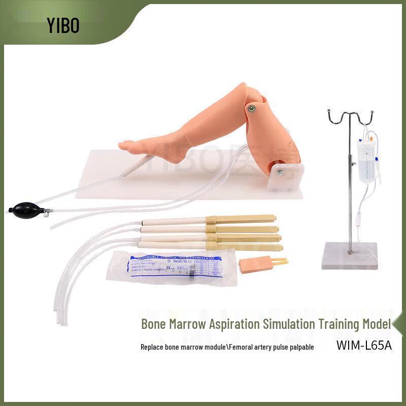 WIM/L65A Тренировочная модель для пункции большеберцовой кости и костного мозга для взрослых