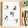 60-Piece Chinese Ink Painting Cat Phone Case - Cute, Creative, Waterproof, Hand-Painted Design