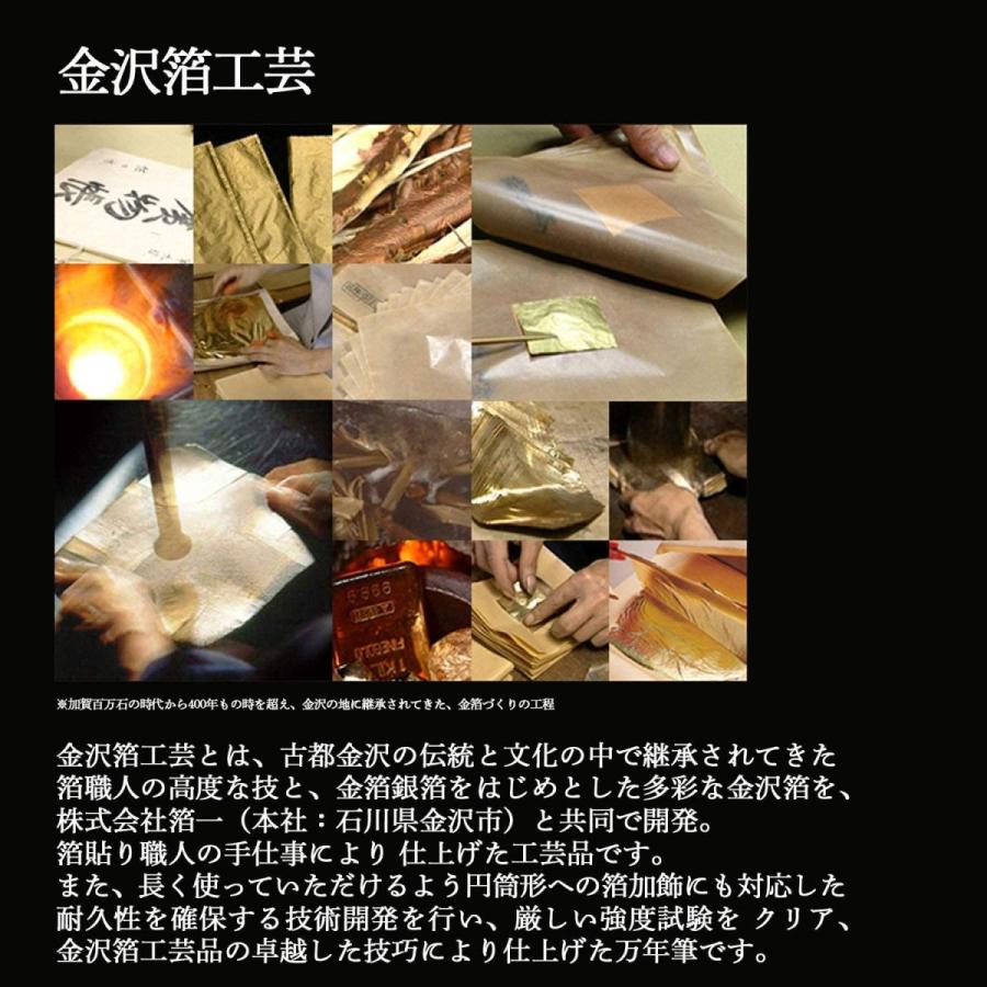 Platinum #3776 Century Maki-e Fountain Pen Matsu-Tora B Nib PNB-35000H#55-4