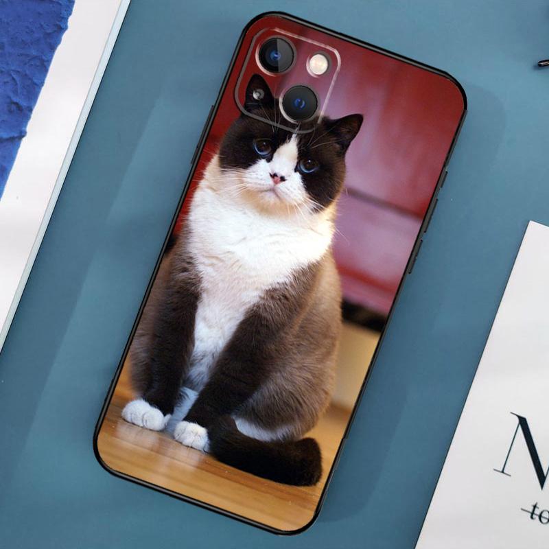 Etui z brytyjskim krótkowłosym kotem na iPhone'a 15 14 13 12 11 Pro Max XS X XR SE 2020 2022 7 8 Plus 12 13 Mini