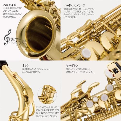 11-Piece Alto Saxophone Set in E Gold Lacquer with Case and Engraving, Beginner's Saxophone Set