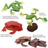 Calorata Frog 3D Encyclopedia Frogs with Realistic Figures Birthday Gift Sanitation Law Figure Box Christmas Gift (16 Instructions) (Educational Toys)