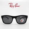 [RAY BAN] RB4428F 601S/48 Ray-Ban Horn-rimmed Square Polarized Sunglasses
