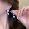 S925 Silver Geometric Tassel Stud Earrings: Fashionable Korean Style, Elegant Design, Versatile for Women