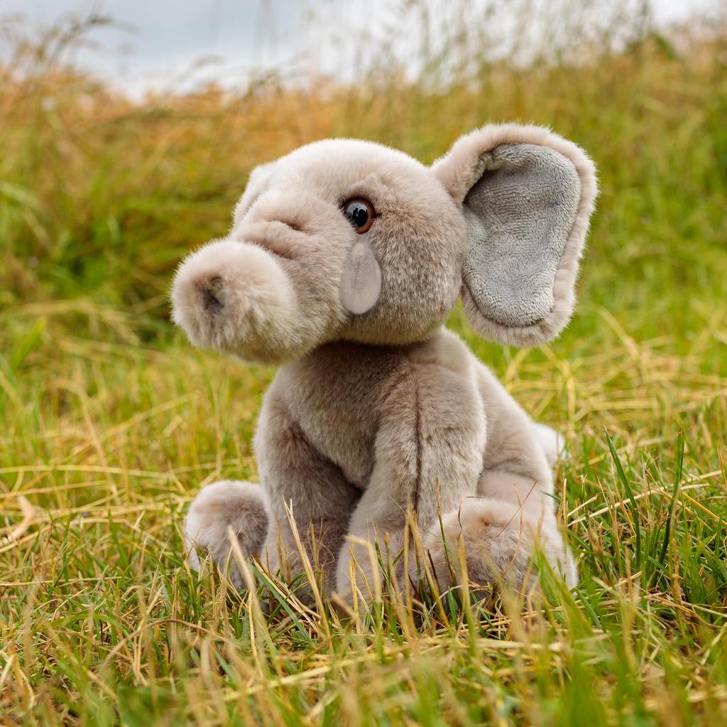 Elephant Stuffed Animal Stuffed Animal African Elephant Elephant Stuffed Animal Elephant African Elephant Elephant Overseas Stuffed Animal Tobar