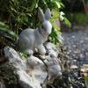 Lovely Rabbit Figurine Ornaments Cute Bunnies Sculpture Micro Landscape Animal Figurine  Table