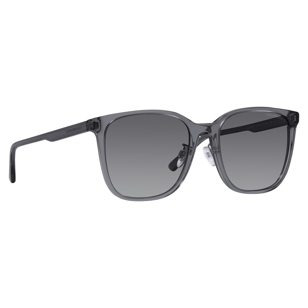 EA4206D Asian Design [Emporio Armani]