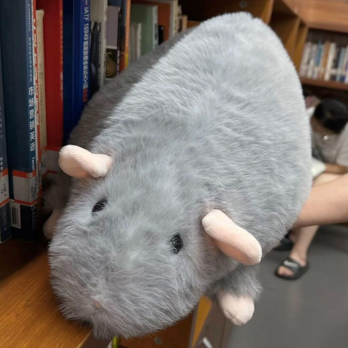 

Симуляция Большая Плюшевая Кукла Мышь Сине-Серая Кукла Мышь-Кальмар Большая Мышь Подушка-Подушка для Дивана 50cm0.2kg серый