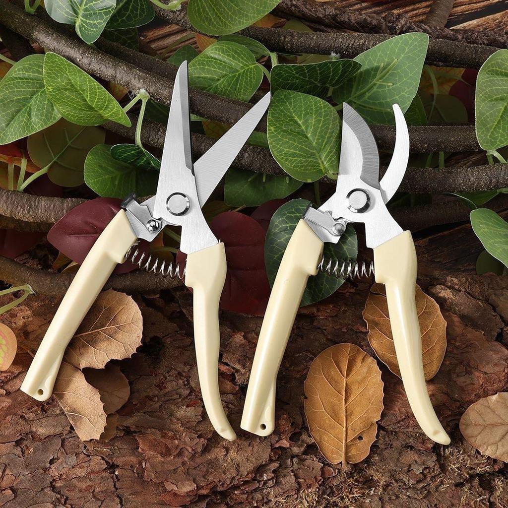 Stainless Steel Pruning Shears for Garden, Fruit, Flower, and Wood