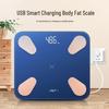 Xiangshan Smart USB Rechargeable Body Fat Scale (CN version)