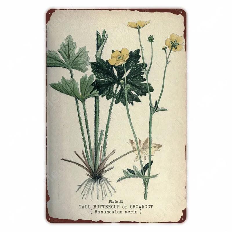 Retro Vegetable Plants Poster Vintage Fruits Metal Tin Sign Cauliflower Wall Art Sign Garden Kitchen Farm Flowers Plate Decor