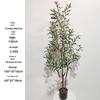 Olive Tree Potted Plant - Indoor Decor Simulation for Living Room