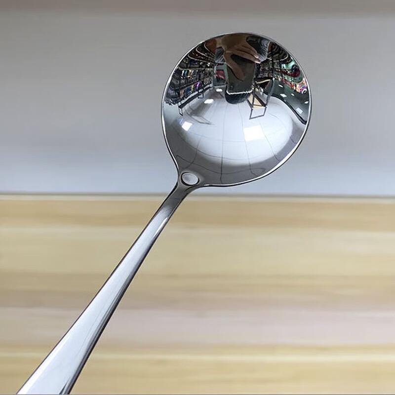 ZISIZ Stainless Steel Round Dessert Spoon