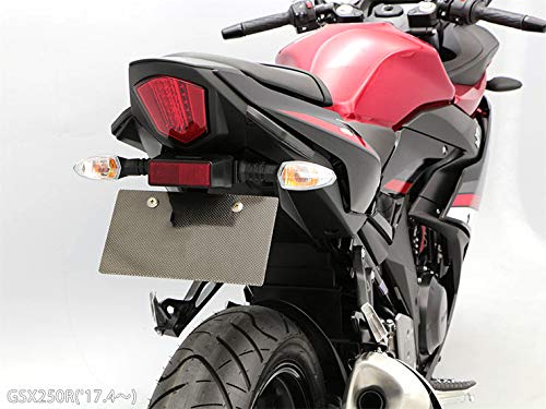 LEDISHUN Fender Eliminator Kit fits Suzuki GSX250R (DN11A) 8BK-DN12B (Black, Steel)