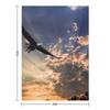 High Soaring Bald Eagle Throw Blanket Luxury Designer Polar Sofa Quilt Christmas Decoration Blankets