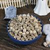 Halloween Skull Resin Ornament Set: 40-Piece Micro Landscape Décor & Flower Pot Paving Stones.
