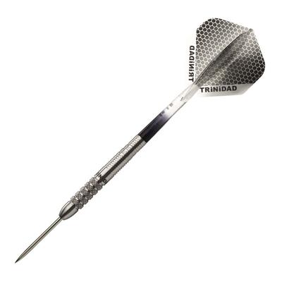 TRiNiDAD PRO Saldivar Steel Eikichi Nakanishi Player Design Model Trinidad Pro Saldivar Steel Dart Barrel Silver tdd1022
