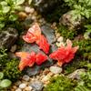 Miniaturfische für Bastelarbeiten Mini-Falsche Goldfischfigur Winziges Harz-Simuliertes Fischmodell für Feengarten-Zubehör Mikro-Landschafts-Terrarium