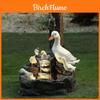 Charming Resin Squirrel And Duck Solar Fountain Garden Statue Unique Gift For All Occasions
