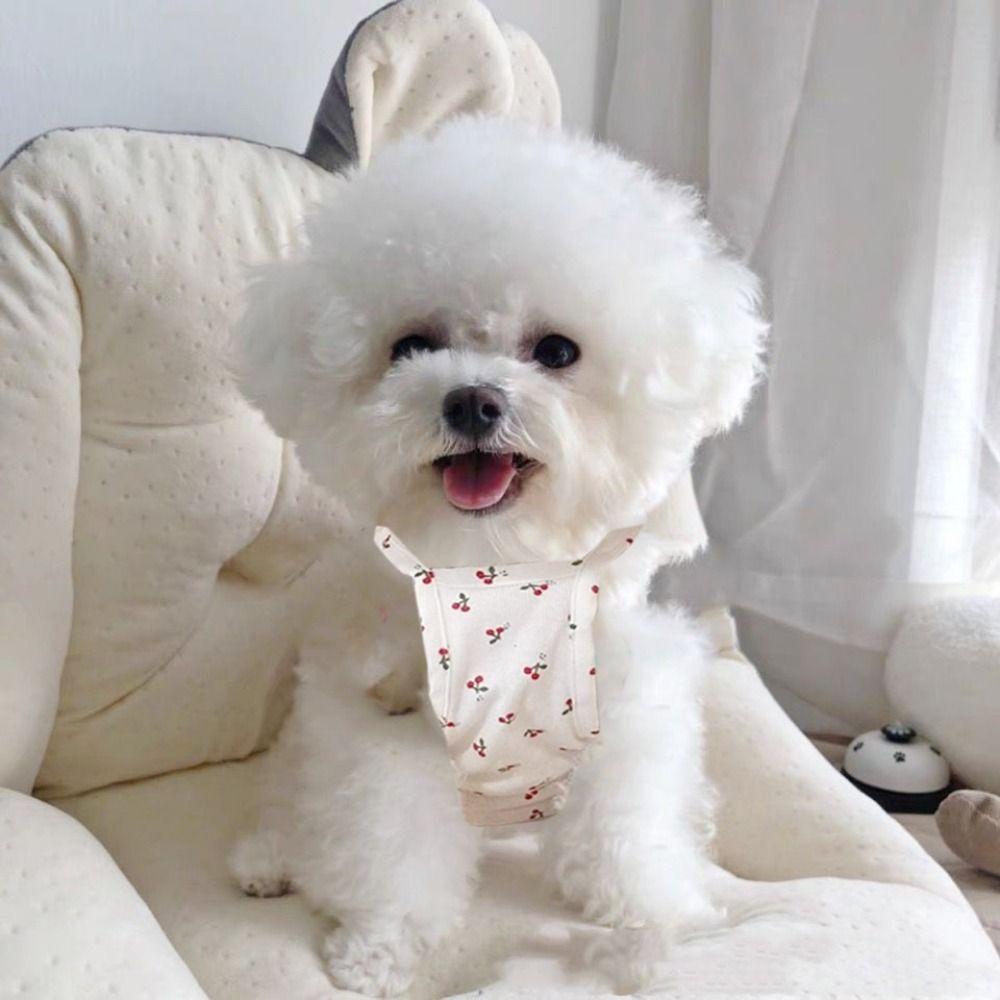 Haustierbedarf Niedlicher Katze Latzrock Mode Weiche Hunde Weste Atmungsaktives Dünnes Design Haustier Prinzessinnenkleider Herbst