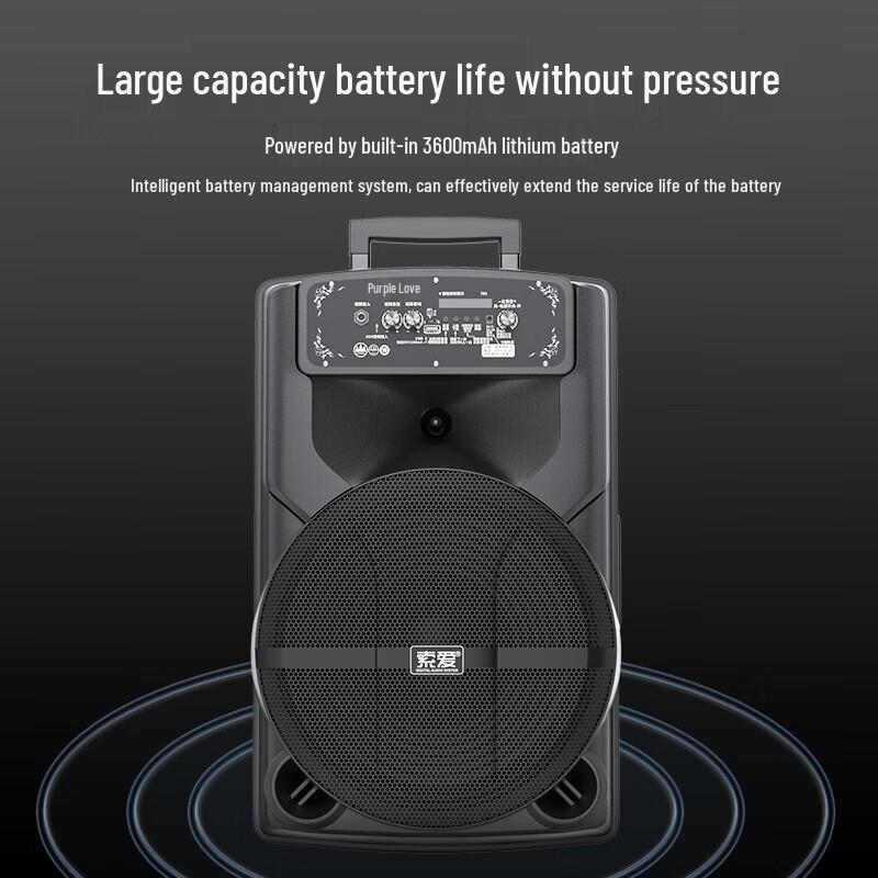 Soli T82 High-Power Portable Karaoke Speaker