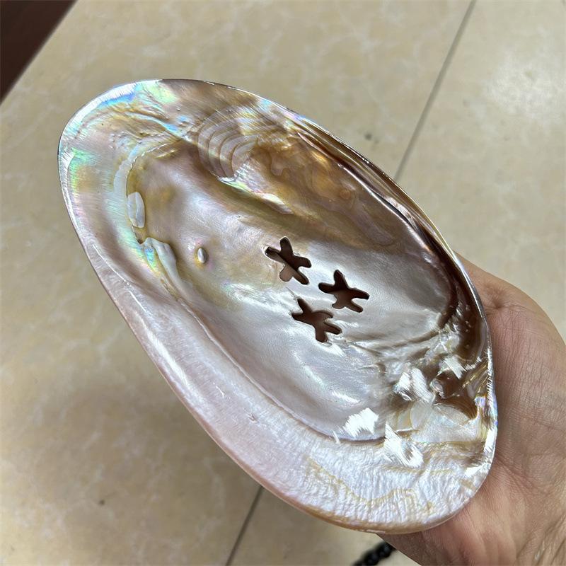 Natural Shell Polished Fruit Plate Caviar Plate Hotel Table Shooting Props Shell Plate Pearl Shell Tray