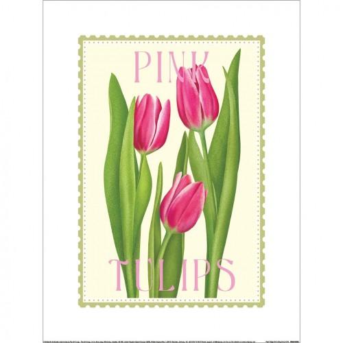 Tall Boy Prints Pink Tulips Paper Print