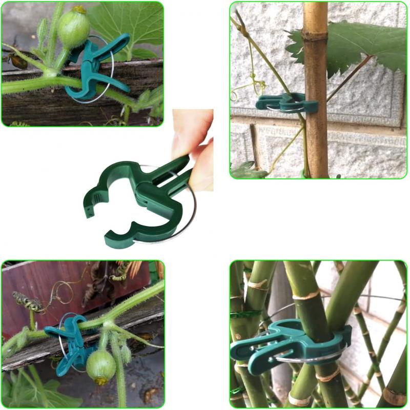 Plant Fixed Clips Reusable Garden Greenhouse Bracket for Fixed Plants Vine Flower Seedling Tomatoes Support Garden Supplies