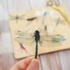 30pcs Insect Theme Dragonflies In Summer Style PVC Sticker Scrapbooking DIY Gift Packing Label Decoration Tag