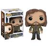 Figurine Funko Pop! Harry Potter : Sirius Black - FUNKO - Harry Potter - 10 cm - Vert - Collection