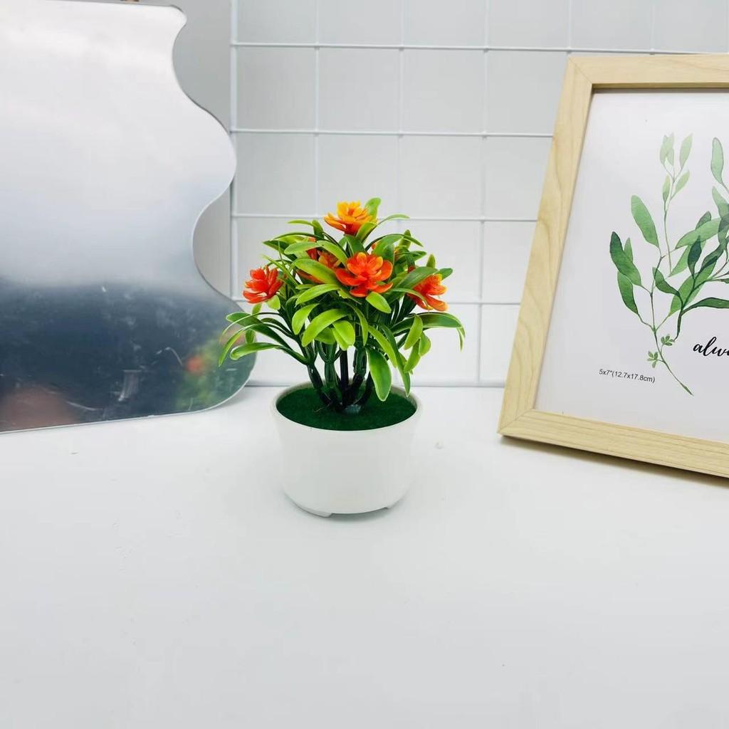 Camellia Artificial Sasanqua Bonsai For Photography Backdrops And Decor Indoor