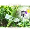 100Pcs Plant Support Clips Reusable Plastic Plant Vine Protection Grafting Fixing Tools for Vegetable Tomato Garden Supplies