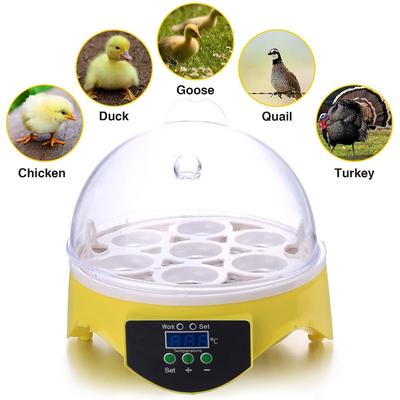7 Eier Huhn Vogel Inkubator Eier Brutmaschine Automatische intelligente Temperaturregelung Wachtel Papagei Brutapparat Bauernhofbedarf