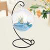 Hanging Glass Vase Large Terrarium with Frame for Air Plants Succulent Planters