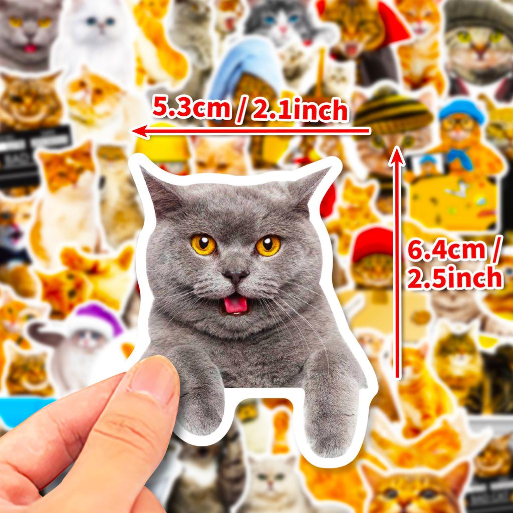 50 Realistic Cat Stickers, Fun Diy Children'S Stickers, Concentration, Small Animals, Cute Cats