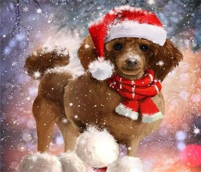 Ruopoty DIY Frame Picture By Numbers Cat Animal HandPainted Wall Art Unique Gift Painting By Number Winter Christmas Gift