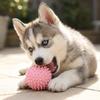 Puppy Teething Chew Toys, Non-Toxic TPR Dog Bone & Ring Toys with Rope, Durable & Bite Resistant for Small Medium Breeds